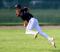 Cherry-South Ridge Section 7A Championship Baseball