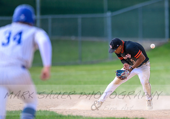 Cherry-South Ridge Section 7A Championship Baseball