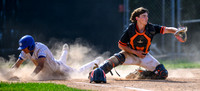 Cherry-South Ridge Section 7A Championship Baseball