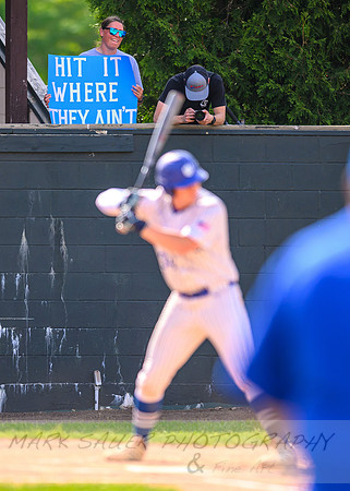 Cherry-South Ridge Section 7A Championship Baseball