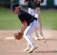 Cherry-South Ridge Section 7A Championship Baseball