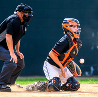 Cherry-South Ridge Section 7A Championship Baseball