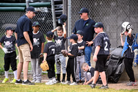 RRYB Sr. Mini White Sox/Pirates