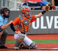 Hibbing/GR VFW Championship Baseball