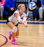 Chisholm-North Woods Quarterfinal Volleyball