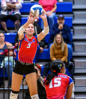 Chisholm-North Woods Quarterfinal Volleyball