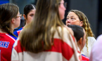 Chisholm-North Woods Quarterfinal Volleyball