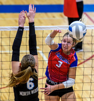 Chisholm-North Woods Quarterfinal Volleyball