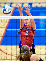 Chisholm-North Woods Quarterfinal Volleyball