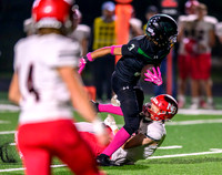 Rock Ridge-North Branch Football