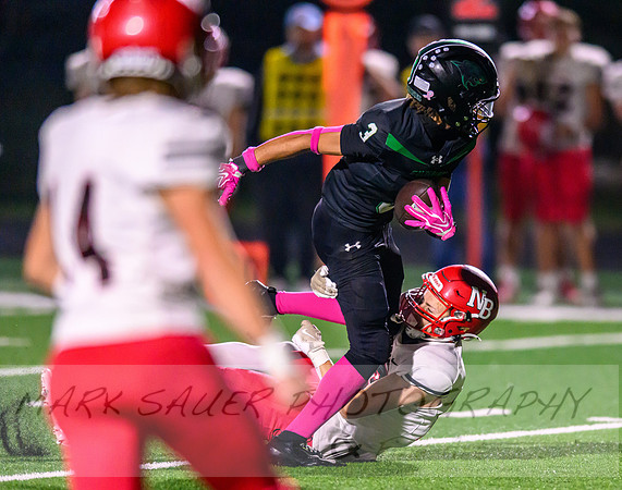 Rock Ridge-North Branch Football