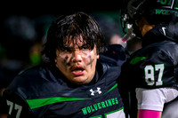 Rock Ridge-North Branch Football