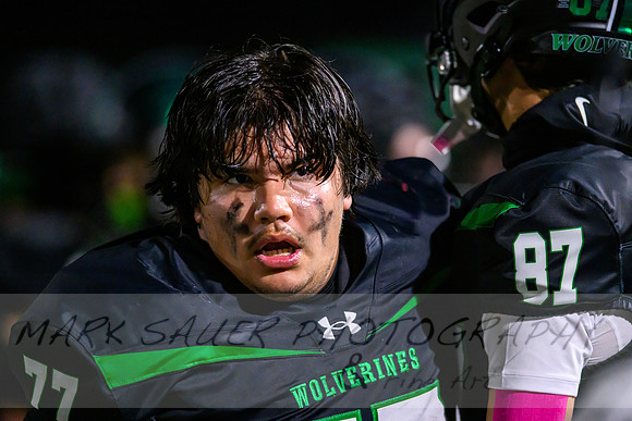 Rock Ridge-North Branch Football